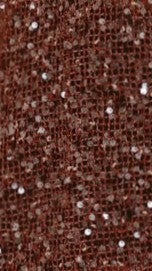 Zinnia Oversized Sequins Tee - Rust