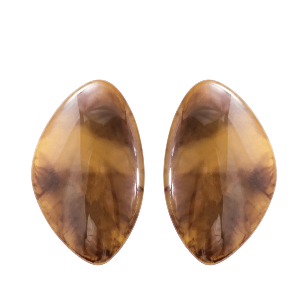 Oval Resin Beaded Pendant Earrings