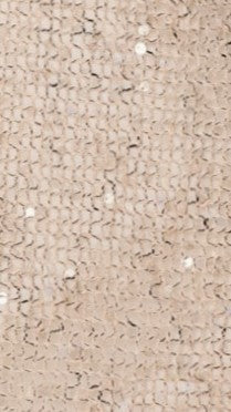 Zinnie Sequins Off Shoulder Top - Beige